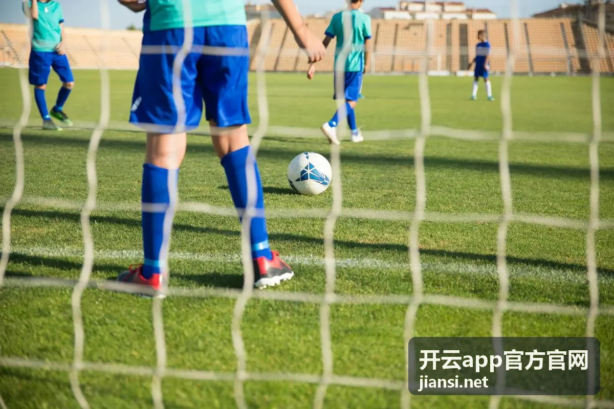开云app官方官网下载渠道核对示意图