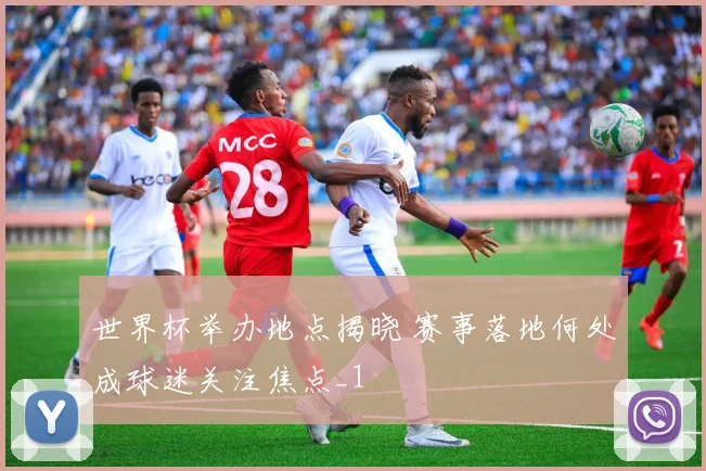 世界杯举办地点揭晓 赛事落地何处成球迷关注焦点_1