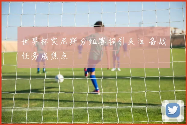 世界杯突尼斯分组赛程引关注 备战任务成焦点
