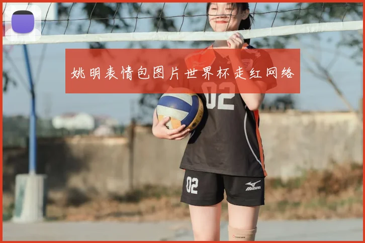 姚明表情包图片世界杯走红网络
