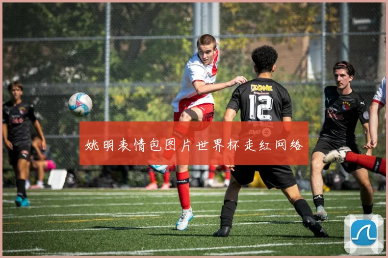 姚明表情包图片世界杯走红网络